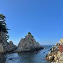 장호항B(어촌체험마을 주차장) | 삼척 장호항 스노쿨링 : 주차부터 평상대여 샤워장까지 자세한 이용 후기