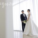 해든델마레 이미지