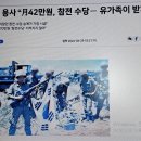 ■윤석열정부는 월남파병용사들에게 해외근무수당지급하라. 이미지