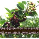 엠엠에프