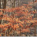 약사전약수터 이미지