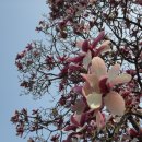 여성회관뒤 이미지