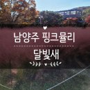 룰루랄라 펫드라이브 | 남양주 드라이브 가볼만한곳 핑크 뮬리 있는 달빛새