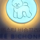 에스티 비숑프리제 이미지