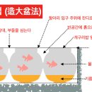 [임원경제지] 연못을 조성하는 5가지 방법 이미지