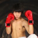 도일격투기 Daum카페