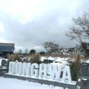 파리바게뜨 | 제주 겨울 가볼만한 곳 눈쌓인 동화마을 파리바게뜨 후기