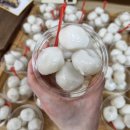 아름드리학원 이미지