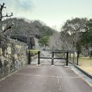 플라워캠핑장 | 부산항에서 대마도 신화의마을 캠핑장 2일차 후기 대마도 백패킹 일정 대마도 낚시 벨류마트