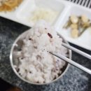 도림장어 이미지