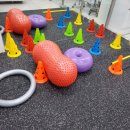 석 동물병원 이미지