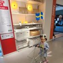 팍스푸드 | 용인 이케아 기흥점 아이랑 스웨디시 레스토랑 푸드코트 식당 카트 수유실 키즈카페