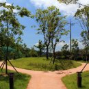 곤양종합시장 이미지