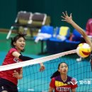 세화여자중학교 이미지