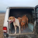 미미코코 이미지