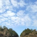 산록남로 이미지