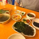 초장집신사가로수길점 | 신사역 술집 싱싱한 막회가 맛있는 거꾸잽이 초장집 가로수길점 후기