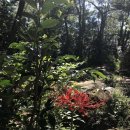 구봉산 치유숲길 입구 이미지