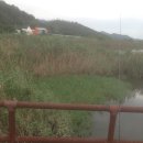 송산2교 이미지