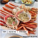 대남1 | 경북 영덕 강구항 근처 대게 맛집 <대남회대게> 내돈내산 방문후기