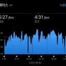 업다운사이클