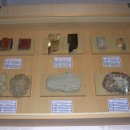 영월화석박물관 이미지