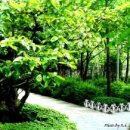 행복그자리 이미지