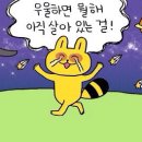 다이쏘 이미지
