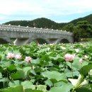 원불교 연꽃방죽 이미지