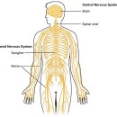 차의과학대학교 대학원 이미지