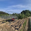 산우리 펜션 이미지