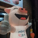 짝뒷고기 | 대구 본리동 맛집 참숯구이 전문점 서수영 뒷고기 솔직후기