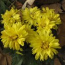 옹달샘약수터 이미지