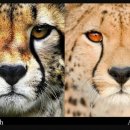 눈이야기 이미지