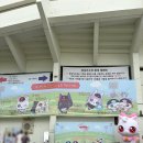 원정세탁소 | 잠실야구장 3루 네이비석 331구역 책없쾌 다녀온 직관 후기