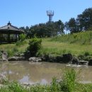 제주 올레길 16코스 이미지