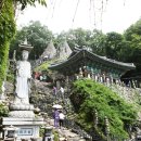 마이산농장 이미지