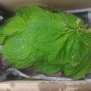 영찬농장 이미지