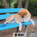 피서농장 이미지