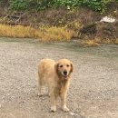 신근낚시터 이미지