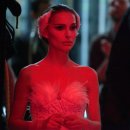Black Swan 이미지