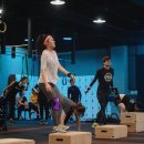 크로스핏 쇼크 첨단점 이미지