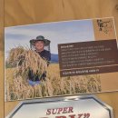우니 배터지게 먹고 온 내돈내산 일산 오마카세 맛집 '보길도' 런치 후기