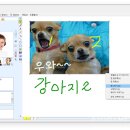 위드솔루션