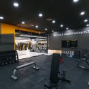 아인스 휘트니스 이미지