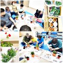 반려식물키우기 이미지