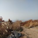 새벌농장 이미지