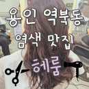 역북문화공원 | 용인 역북 염색 잘하는 곳 &#39;헤룸&#39; 미용실추천 찐 후기 [니콜디자이너]