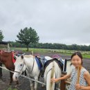 탐라승마장 | [제주] 탐라승마장 예약, 제주패스 무료, 무료사진촬영, 가능나이