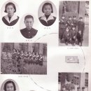 영북중학교 이미지